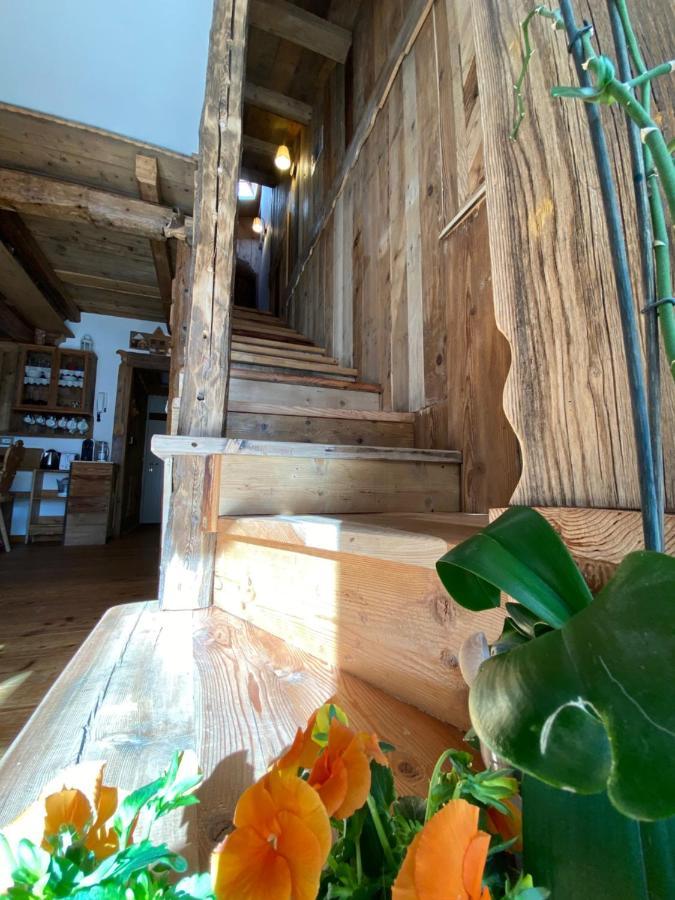 Calore Di Una Casa Di Montagna Кампителло-ди-Фасса Экстерьер фото